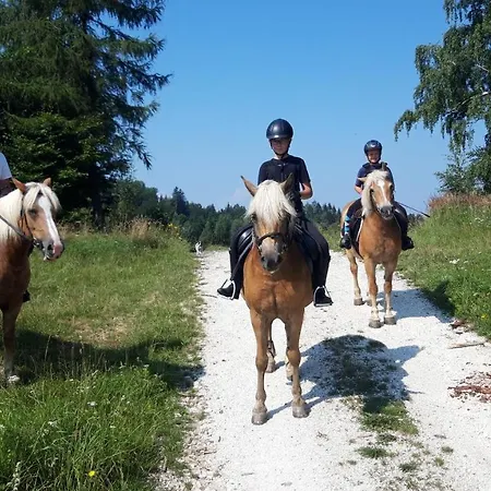 Marianna Bed & Breakfast Ladek-Zdroj