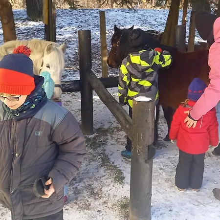 Oda ve Kahvaltı Marianna 3*